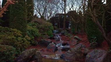 Tilt shot of a fast creek with clean water flowing in the Japanese garden