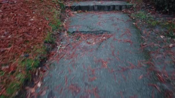 POV прогулка в саду по садовой дорожке, покрытой влагой с большим количеством опавших красных листьев — стоковое видео