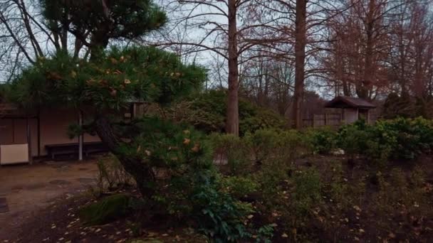 Overview view of the Japanese garden in the winter pan — Stock Video