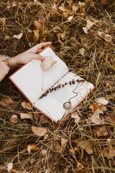 Dans l'herbe d'automne couverte de feuilles sèches tombées se trouve un livre ouvert de poésie, en elle niché tige d'herbe et vieux médallyon — Photo