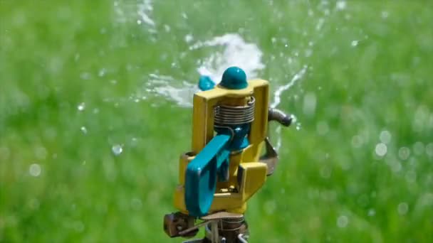 Annaffiare l'erba verde da irrigatore cantiere. Acqua frizzante spruzzando dalla testa spruzzatore sul prato verde. Giardinaggio estivo. Rallentatore girato a 120 fps . — Video Stock