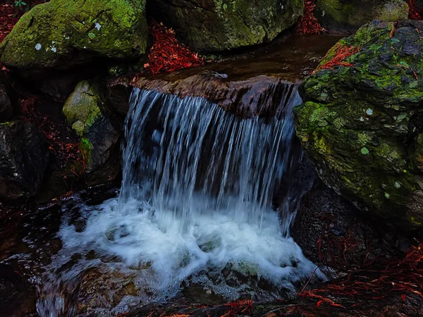 美丽的人造瀑布落在日本花园的一个小湖上 — 图库照片
