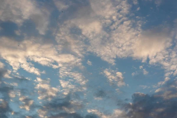 Belo céu noturno — Fotografia de Stock