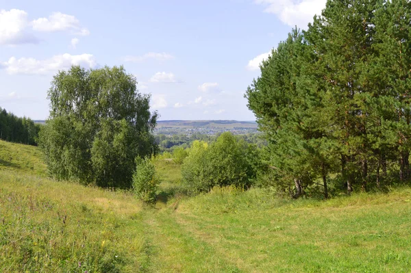 Paesaggio estivo — Foto Stock