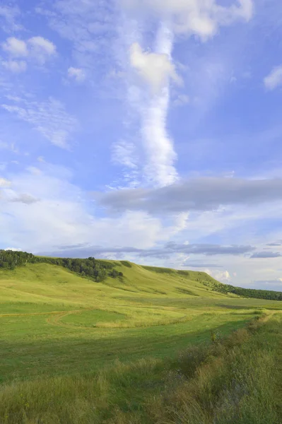 Paisagem de verão com montanha — Fotografia de Stock