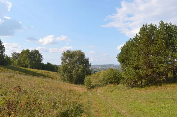 Zomer landschap — Stockfoto