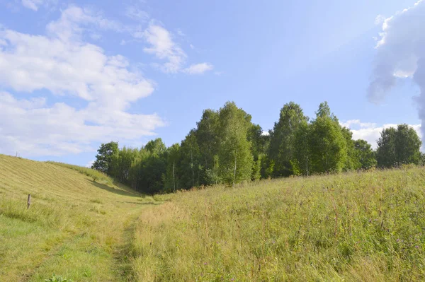 Sommarlandskap — Stockfoto