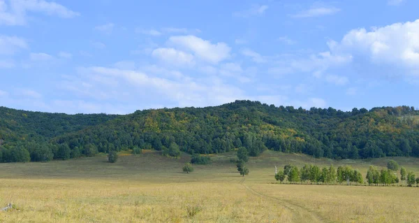 Zomer landschap met bergen — Stockfoto