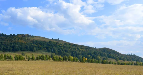 Zomer landschap met bergen — Stockfoto