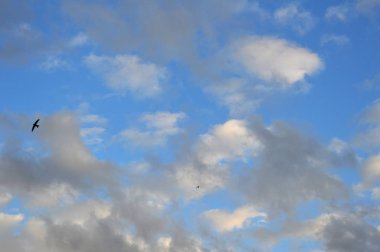 Güzel akşam gökyüzü