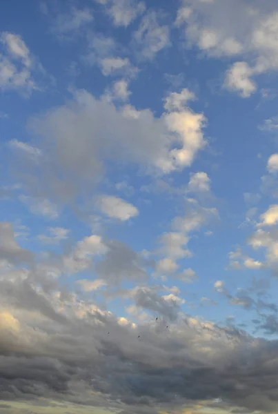 Небо над головой — стоковое фото