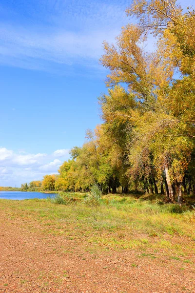 Paisaje otoñal con río —  Fotos de Stock