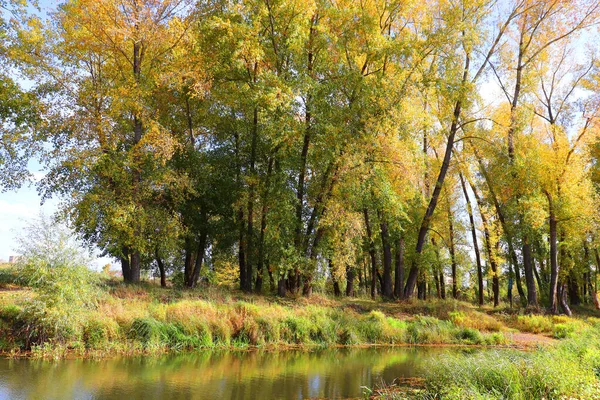 Autumn landscape with river — Stock Photo, Image