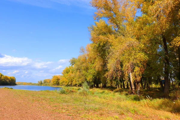 Осінній пейзаж з річкою Ліцензійні Стокові Зображення