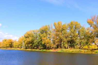 Nehirli sonbahar manzarası