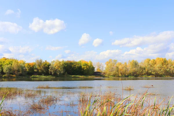 Paisaje otoñal con río —  Fotos de Stock