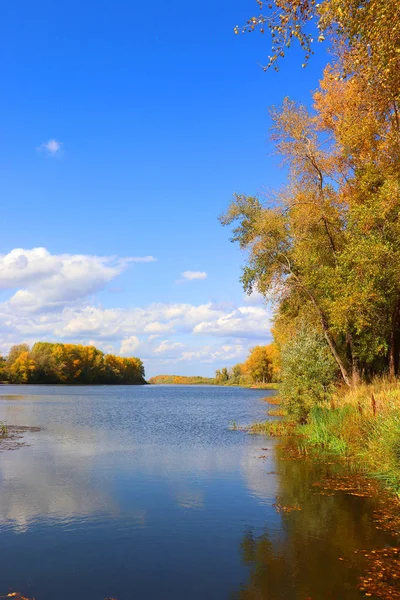 Nehirli sonbahar manzarası — Stok fotoğraf