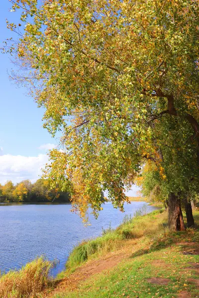 Paisaje otoñal con río —  Fotos de Stock