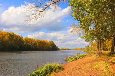 Nehirli sonbahar manzarası