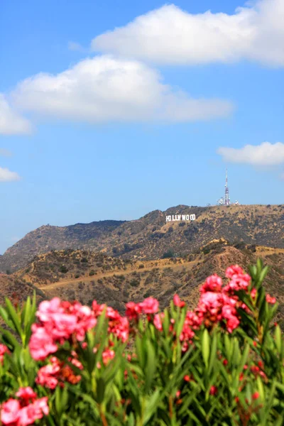 Hollywood işareti, Los Angeles — Stok fotoğraf