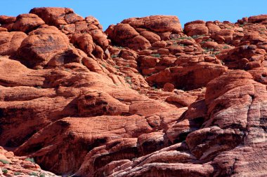 Red Rock Canyon, ABD