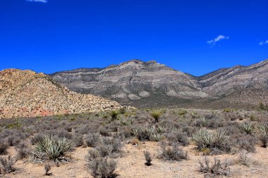Red Rock Canyon, ABD