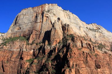  Zion national park