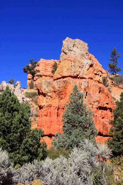 Red Canyon, Utah, USA — Stock Photo, Image