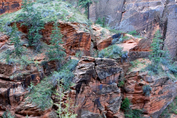 Zion nationalpark, utah, vereinigte staaten — Stockfoto
