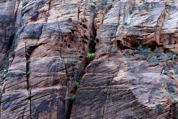 Национальный парк Зайон, Юта, США
