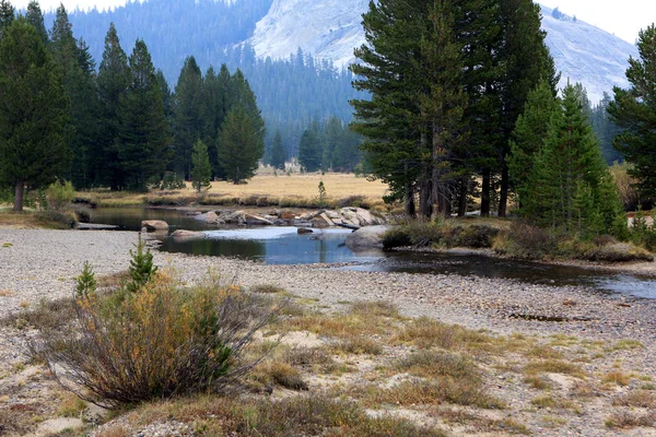 Parc national Yosemite — Photo