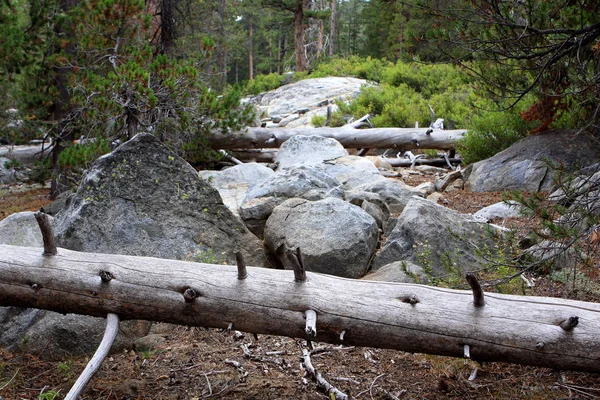 Yosemite Nemzeti Park — Stock Fotó