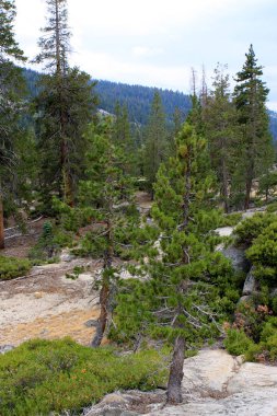 Yosemite Ulusal Parkı