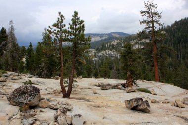 Yosemite Ulusal Parkı