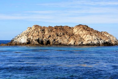 Ocean view, California