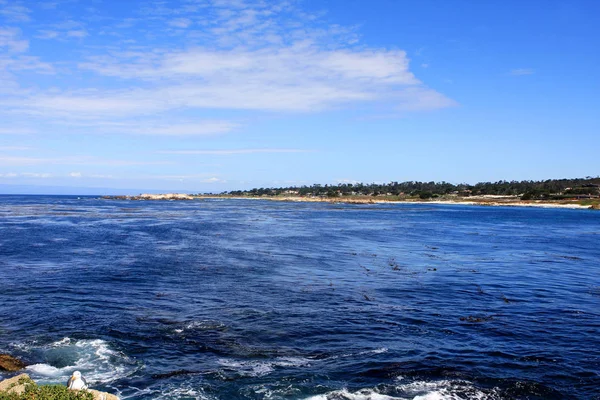 Ocean view, California — Stok fotoğraf