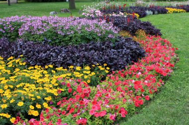 flowerbed çiçeklerle dolu