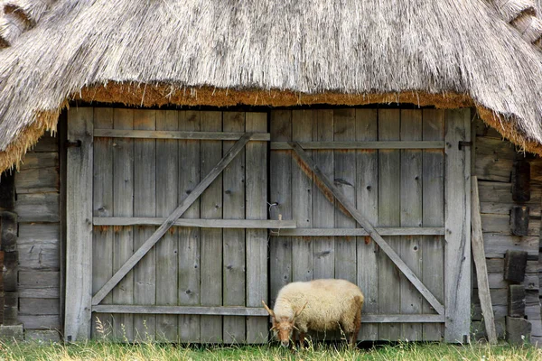 Maďarské Open Air Museum — Stock fotografie