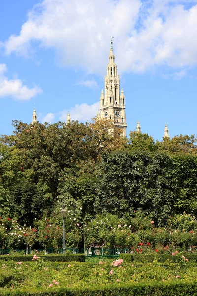 Vista Wiener Rathaus Desde Volksgarten Viena Austria — Foto de Stock