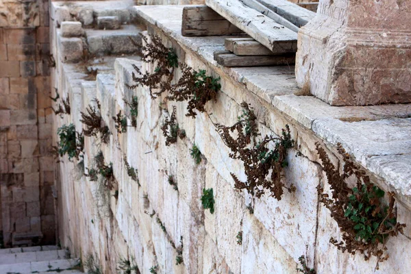Ruinerna Den Romerska Staden Gerasa Jerash Jordanien — Stockfoto