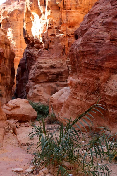 Die Wände Des Siq Schmale Passage Die Nach Petra Jordanien — Stockfoto