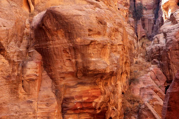 Les Murs Siq Passage Étroit Qui Mène Petra Jordanie — Photo