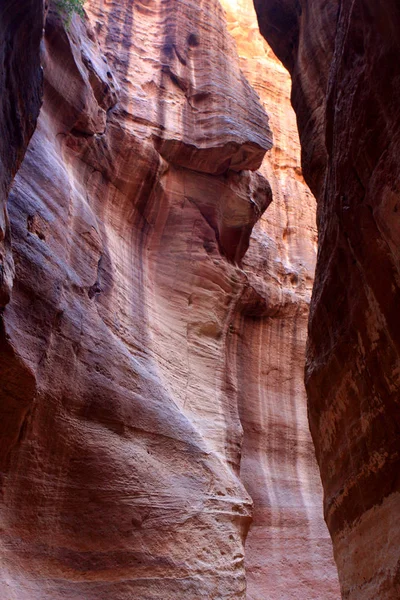 Die Wände Des Siq Schmale Passage Die Nach Petra Jordanien — Stockfoto