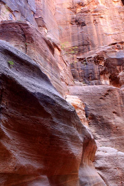 Les Murs Siq Passage Étroit Qui Mène Petra Jordanie — Photo