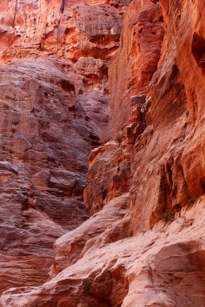 Siq Petra Ürdün Giden Dar Geçit Duvarları — Stok fotoğraf