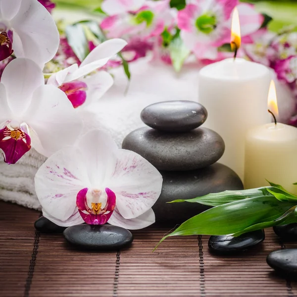 Wellness fogalma a zen bazalt kövek — Stock Fotó