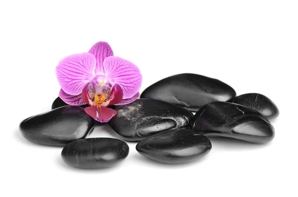 Zen basalt stones ,orchid and bamboo Stock Photo