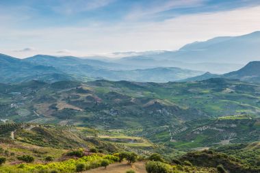 Zeytin ekimi Girit, Yunanistan
