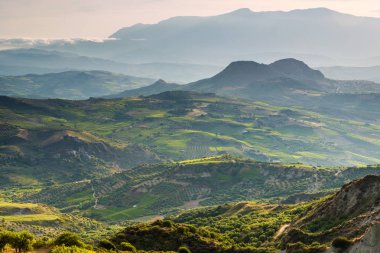 Zeytin ekimi Girit, Yunanistan