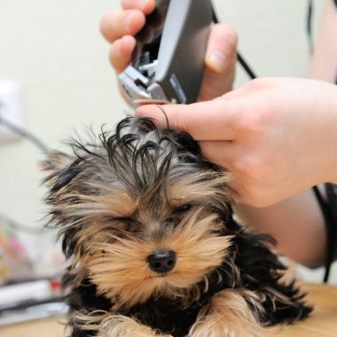 kahve, eski Kahve değirmeni